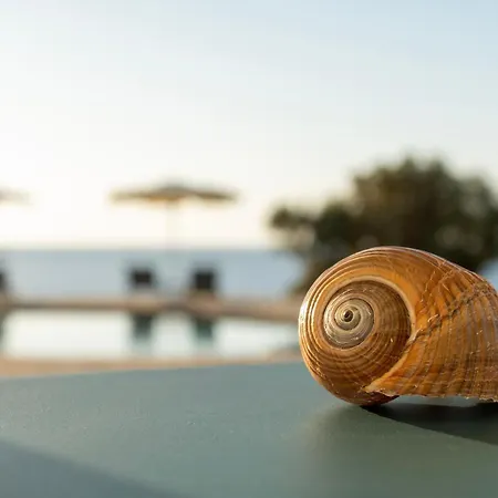 Borgo Thassos * Asztrída