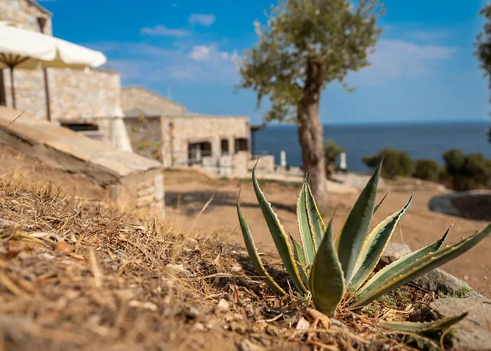 Borgo Thassos * Astris