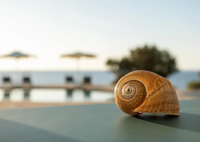 Borgo Thassos * Astris